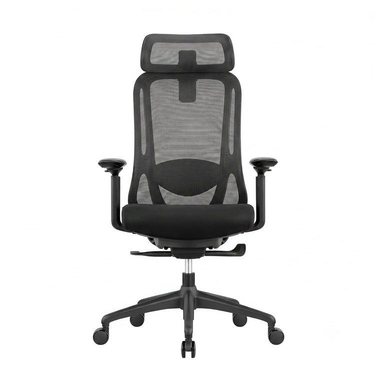 Silla Boston Presidente