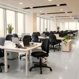 Silla de Escritorio Niza Media 4