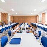 Silla Cafeteria Aria 1