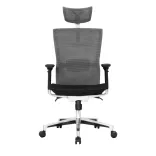 Silla de Escritorio Dallas Marco Blanco 1